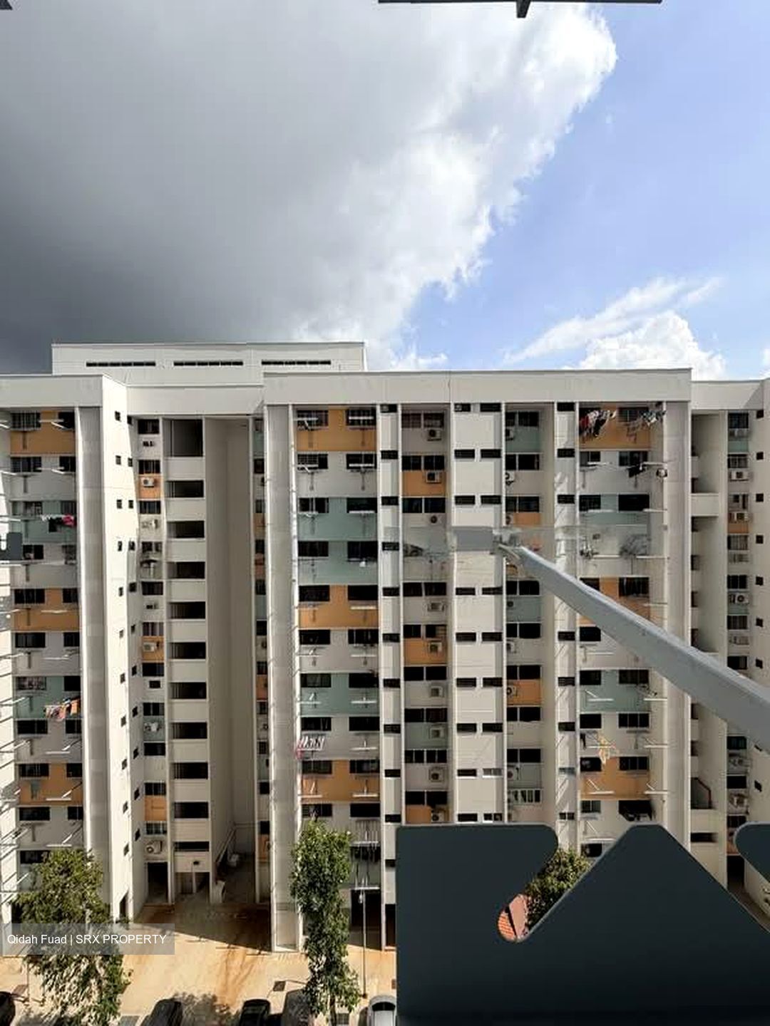 Blk 283 Ficus Vale (Yishun), HDB 3 Rooms #557628661